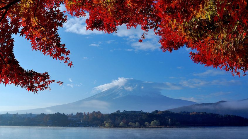 Mt. Fuji koyo