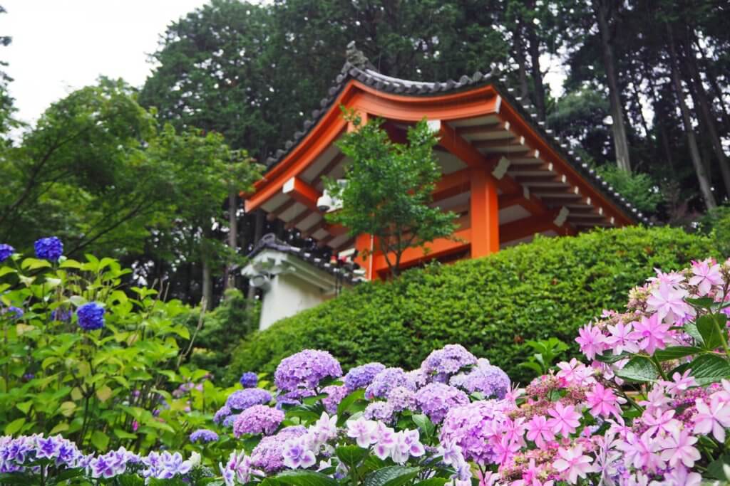 Sannomiya Shrine in Uji