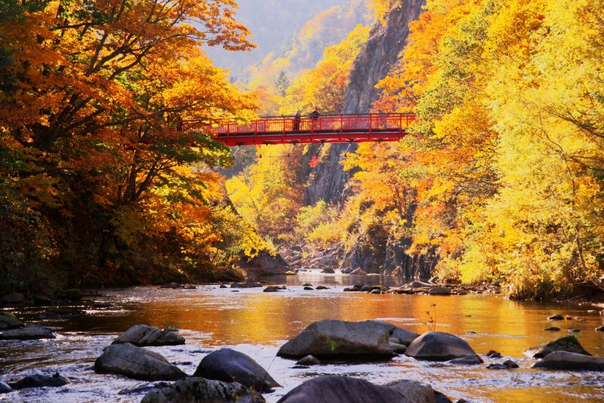nikko bridge autumn